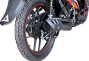 MAXX 125