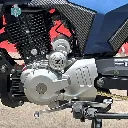 THUNDER 220-03.webp