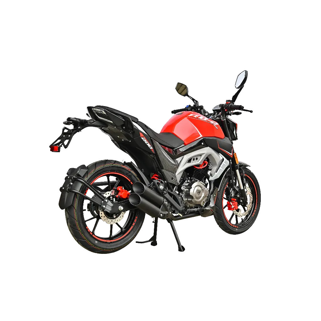 RD-2-24.webp