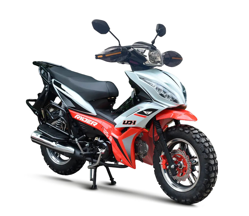 UD1 CS.webp