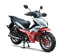 UD1 CS.webp