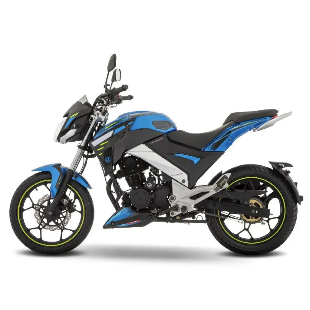 FT250 GTS-05.webp