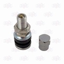 Valvula llanta Radial Moto Standard Cromada