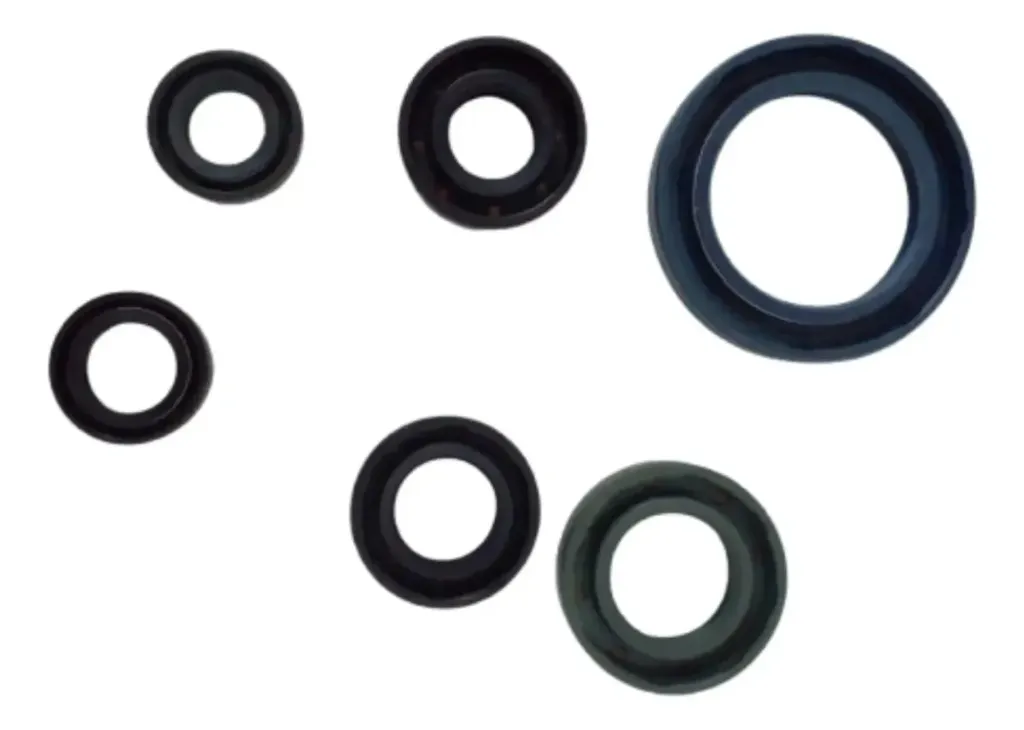[176MN-E14-01] CONJUNTO COMPLETO DE RETENES DE MOTOR RUNGA 320Z