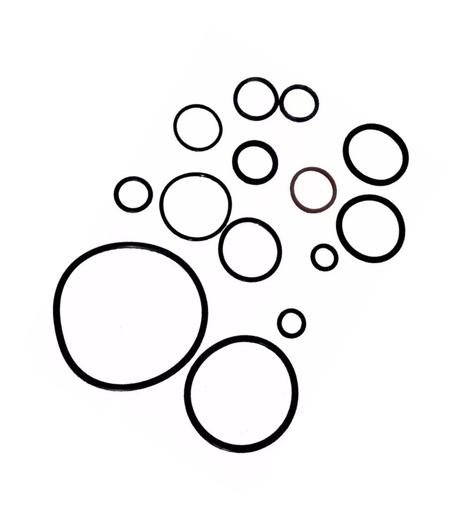 CONJUNTO COMPLETO DE O-RINGS DE MOTOR RUNGA 250