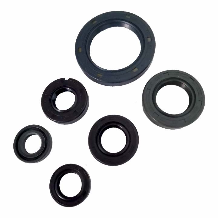 [170MM-E14-01] CONJUNTO COMPLETO DE RETENES DE MOTOR RUNGA 250