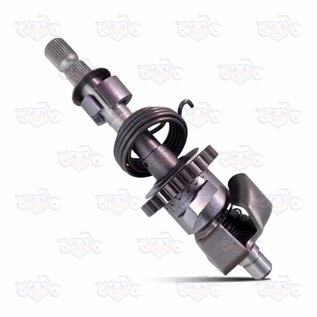 CONJUNTO DE PATADA DE ARRANQUE RUNGA 320Z