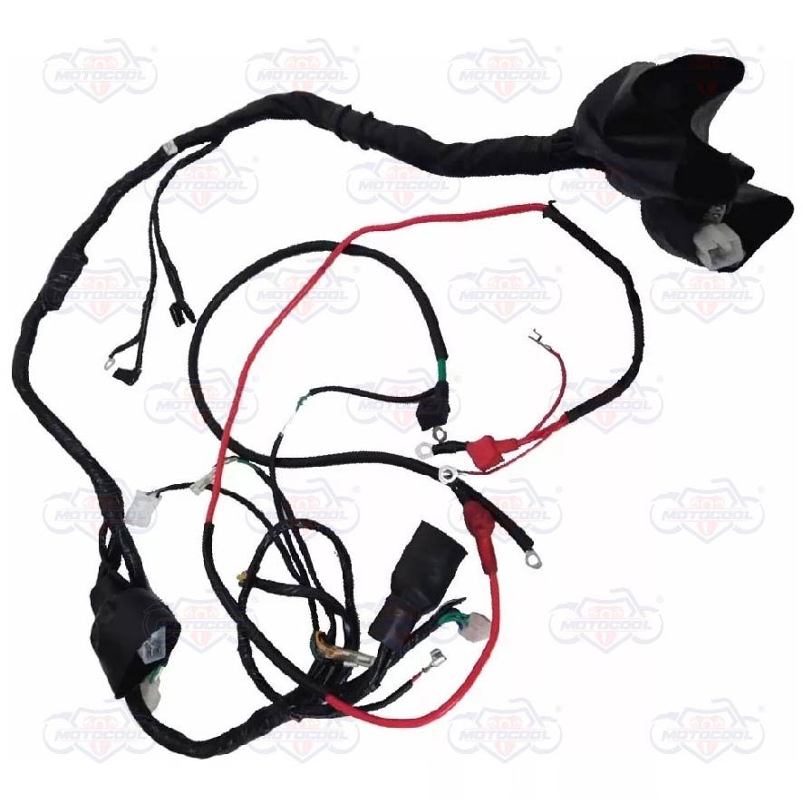 ARNES ELECTRICO PRINCIPAL SX6250