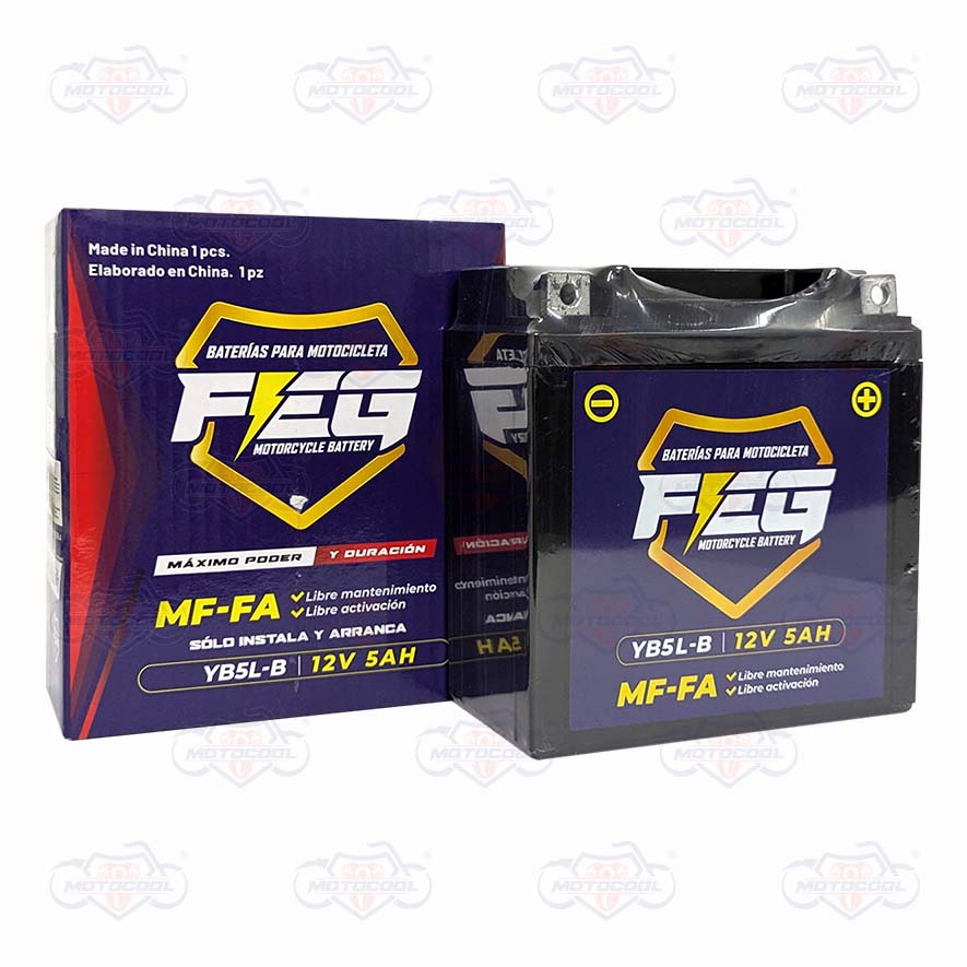 BATERIA FEG 12V5AH HOMOLOGACION UD1