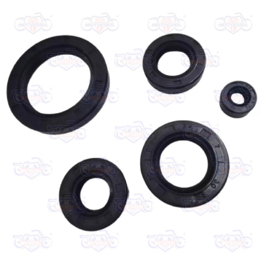KIT RETENES DE MOTOR CG125/150/200