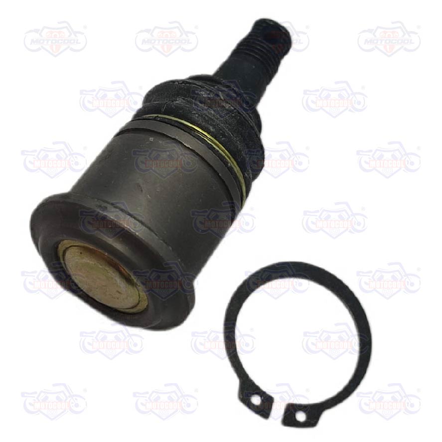 ROTULA BRAZO INF