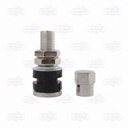 Valvula llanta Radial Moto Standard Cromada