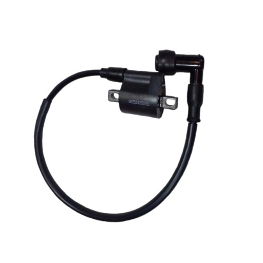 [RD250-F20-02] BOBINA DE IGNICION RD2.5