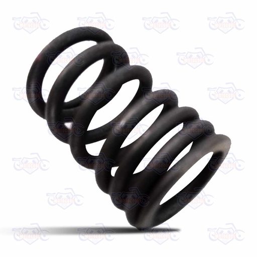[170MM-E02-04] RESORTE EXTERIOR DE VÁLVULA RUNGA 250