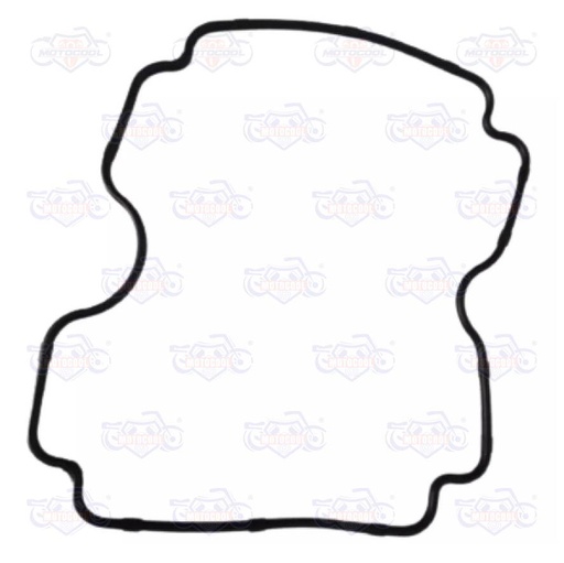 [176MN-E01-06] JUNTA DE TAPA DE CABEZA RUNGA 320Z