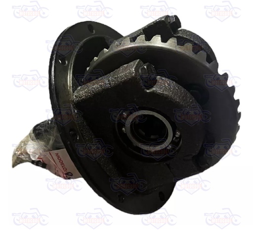 [RUNGA 250-F13-20] ENGRANES SATELITALES DIFERENCIAL RUNGA 250