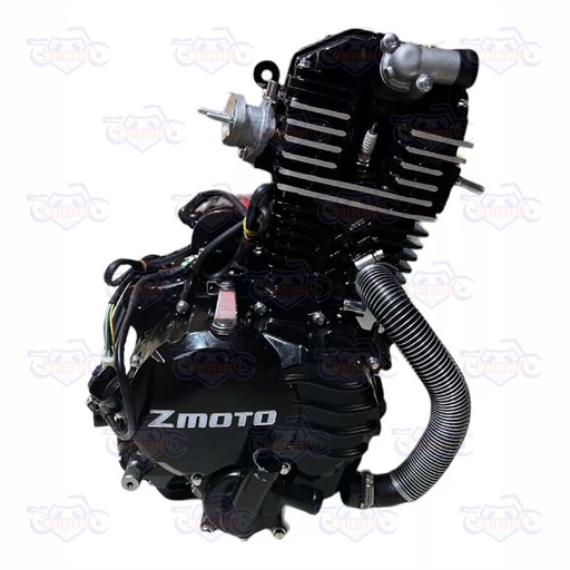 [RUNGA 250F-17-01] MOTOR COMPLETO RUNGA250