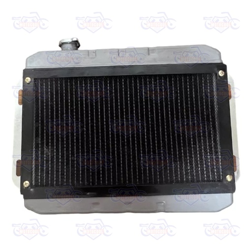 [RUNGA 250-F17-04] RADIADOR COMP RUNGA250