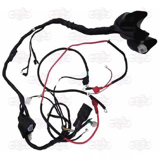 [SX6250-F01-01] ARNES ELECTRICO SX6 250