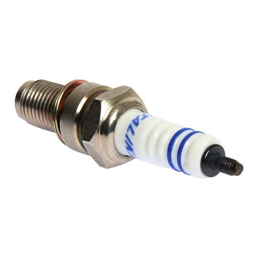 [E02020014] BUJIA GOLD GDR8EA