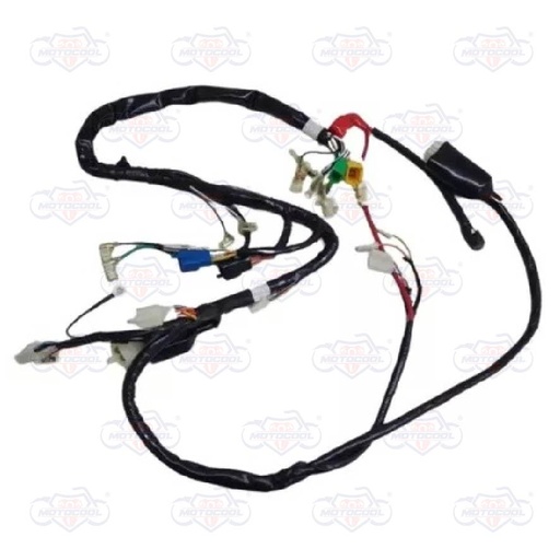 [F06050050] ARNES PRINCIPAL