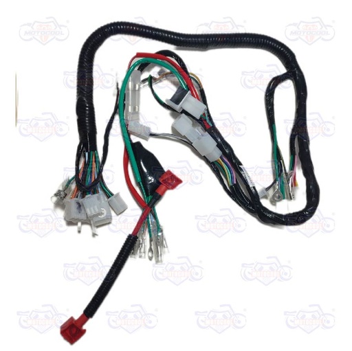 [F06050060] ARNES PRINCIPAL