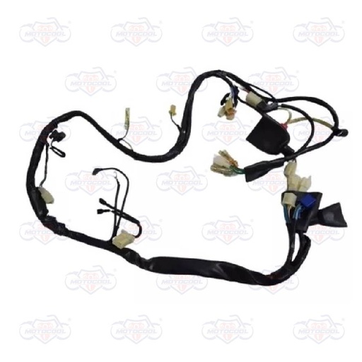 [F06050078] ARNES PRINCIPAL