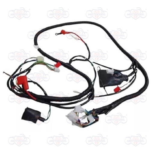 [F06050094] ARNES PRINCIPAL