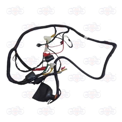 [F06050084] ARNÉS PRINCIPAL