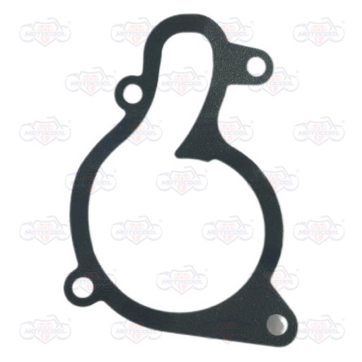 [E10030076] EMPAQUE BOMBA AGUA