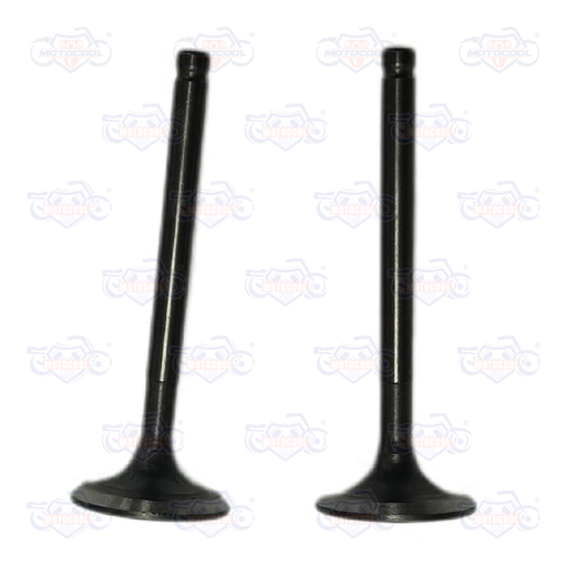 [E04050003] VALVULA DE ESCAPE