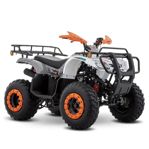 [34006332] ITALIKA ATV190